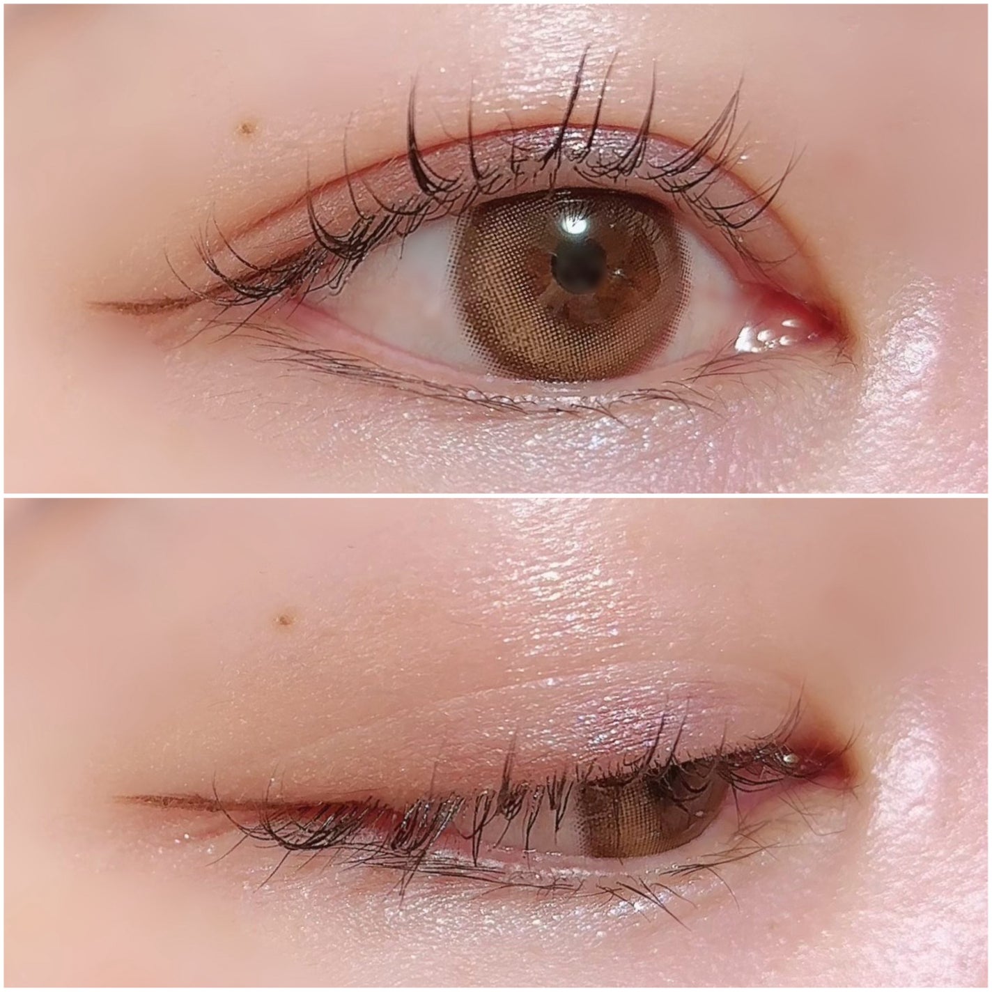 ステラドリームコフレ /LUNASOL/メイクアップキットを使ったクチコミ(3枚目)