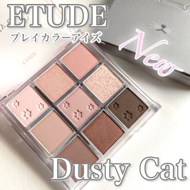 ETUDE プレイカラーアイズのクチコミ「ETUDE
プレイカラーアイズ
Dusty Cat

6月新発売のブルベ大勝利なパレット！
猫.....」（1枚目）
