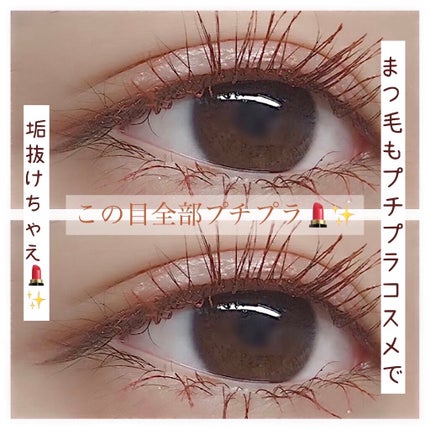 クイックラッシュカーラー/キャンメイク/マスカラ下地を使ったクチコミ(1枚目)