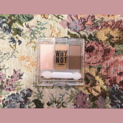 WHY NOT SPINNS 3色アイシャドウ シャンパンベージュ/DAISO/アイシャドウパレットを使ったクチコミ(2枚目)