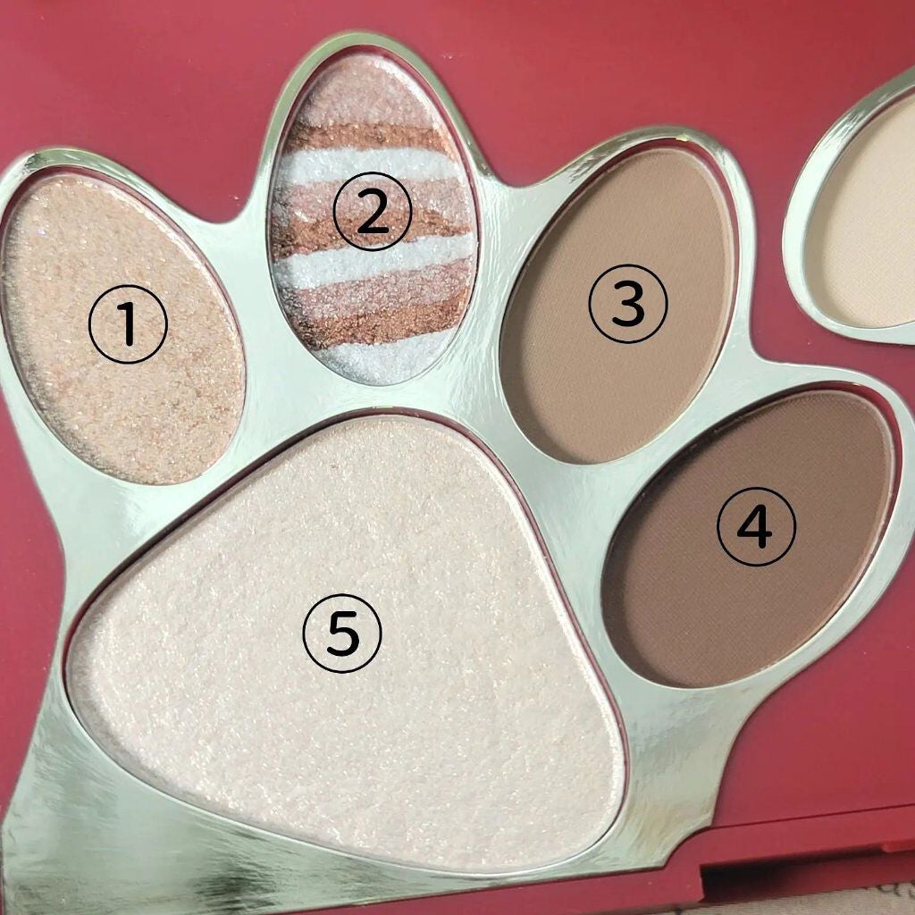 トラ十色アイシャドウパレット/COLORKEY/アイシャドウパレットを使ったクチコミ(2枚目)