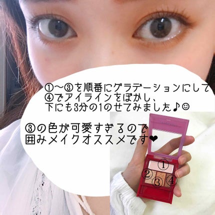 アクセントカラーアイズ CC/インテグレート/アイシャドウパレットを使ったクチコミ(2枚目)