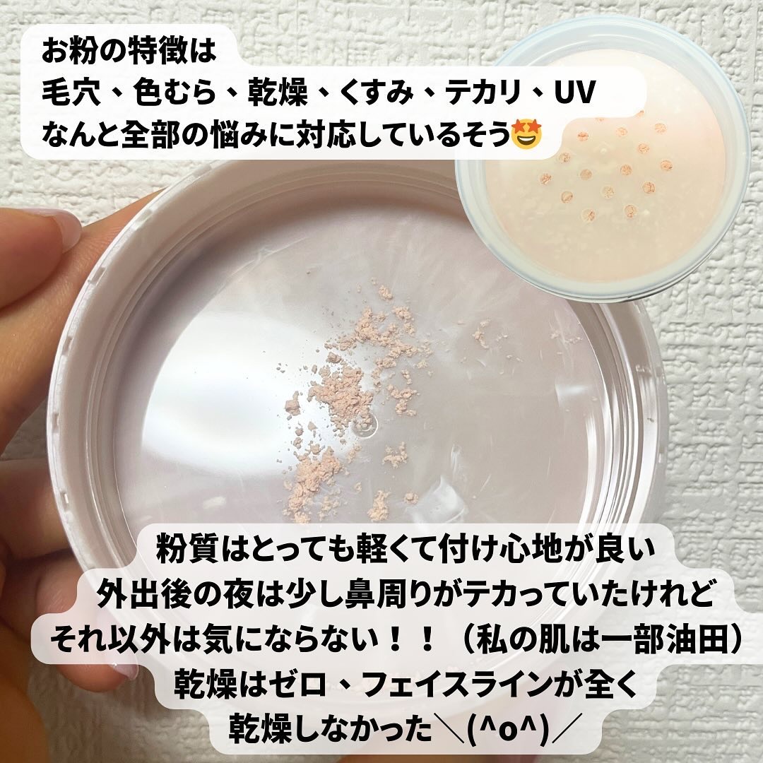毛穴パテ職人 毛穴崩れブロックパウダー/毛穴パテ職人/ルースパウダーを使ったクチコミ（3枚目）