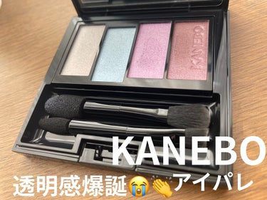 レイヤードカラーズアイシャドウ 01 エステティックスカイ/KANEBO/パウダーアイシャドウを使ったクチコミ（1枚目）