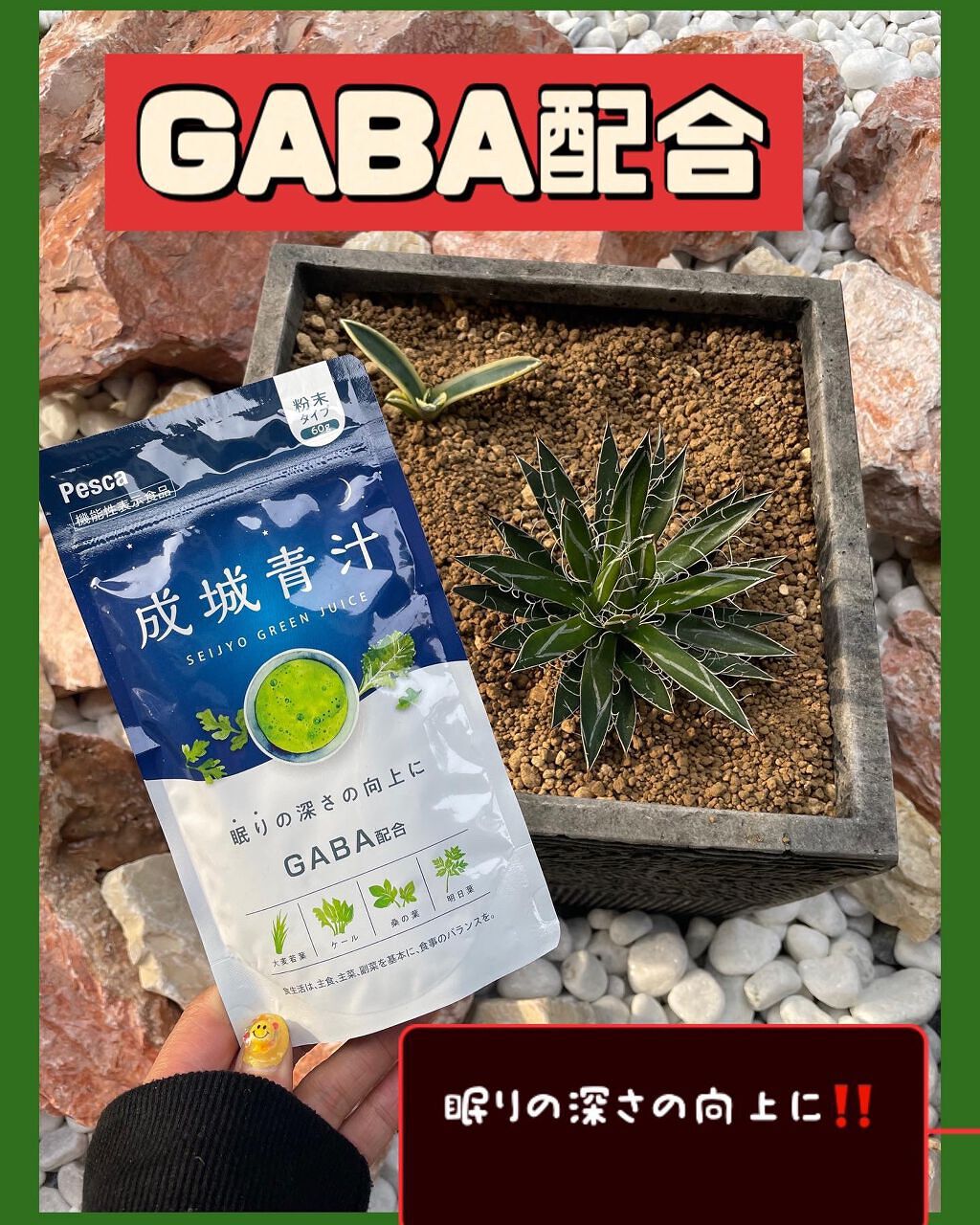 成城青汁/Pesca(ペスカ)/青汁を使ったクチコミ（1枚目）