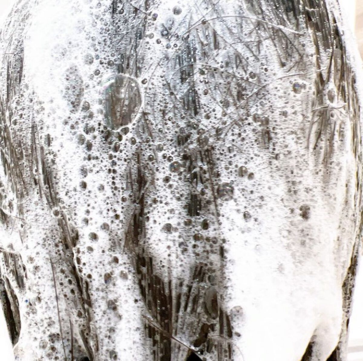 ドリーミー モイスト シャンプー/ヘアトリートメント/THERATIS/市販シャンプーを使ったクチコミ（2枚目）