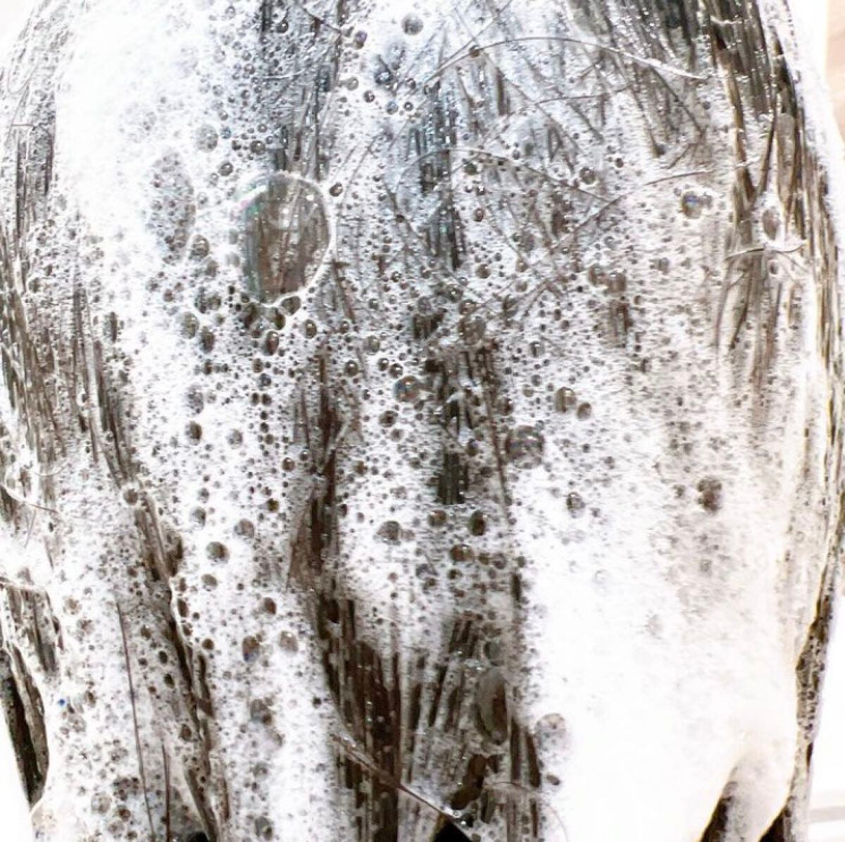 ドリーミー モイスト シャンプー/ヘアトリートメント/THERATIS/市販シャンプーを使ったクチコミ(2枚目)