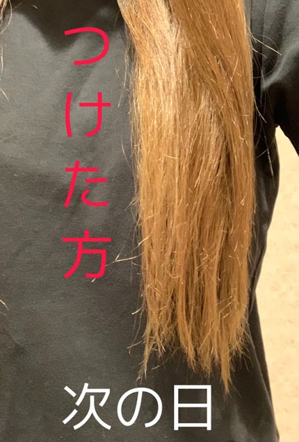 N. シアミルク/N./ヘアミルクを使ったクチコミ(3枚目)