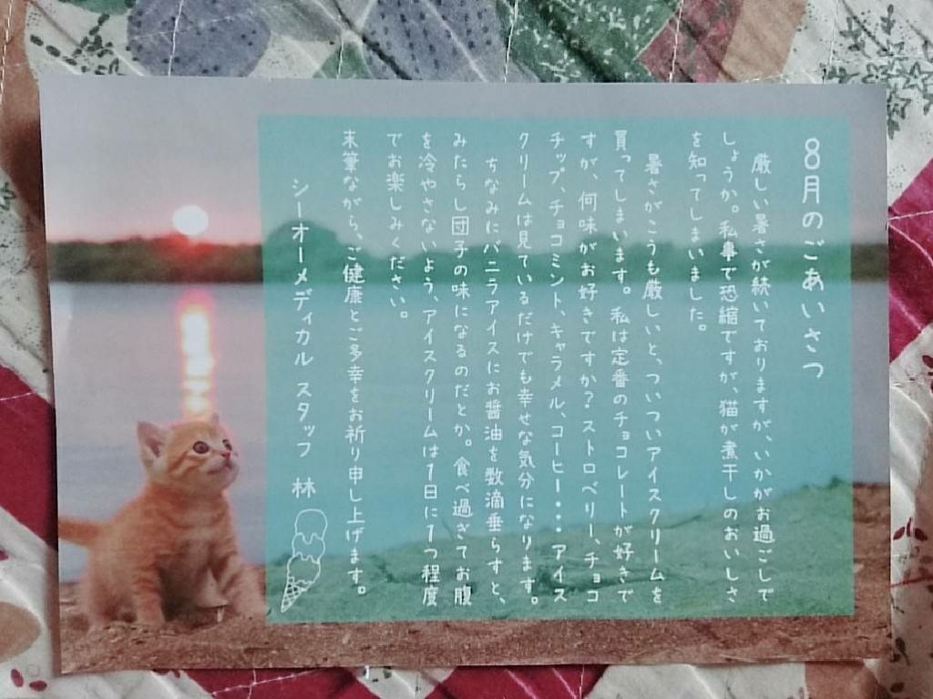 ふんわりルームブラ/Angellir/ナイトブラを使ったクチコミ(2枚目)