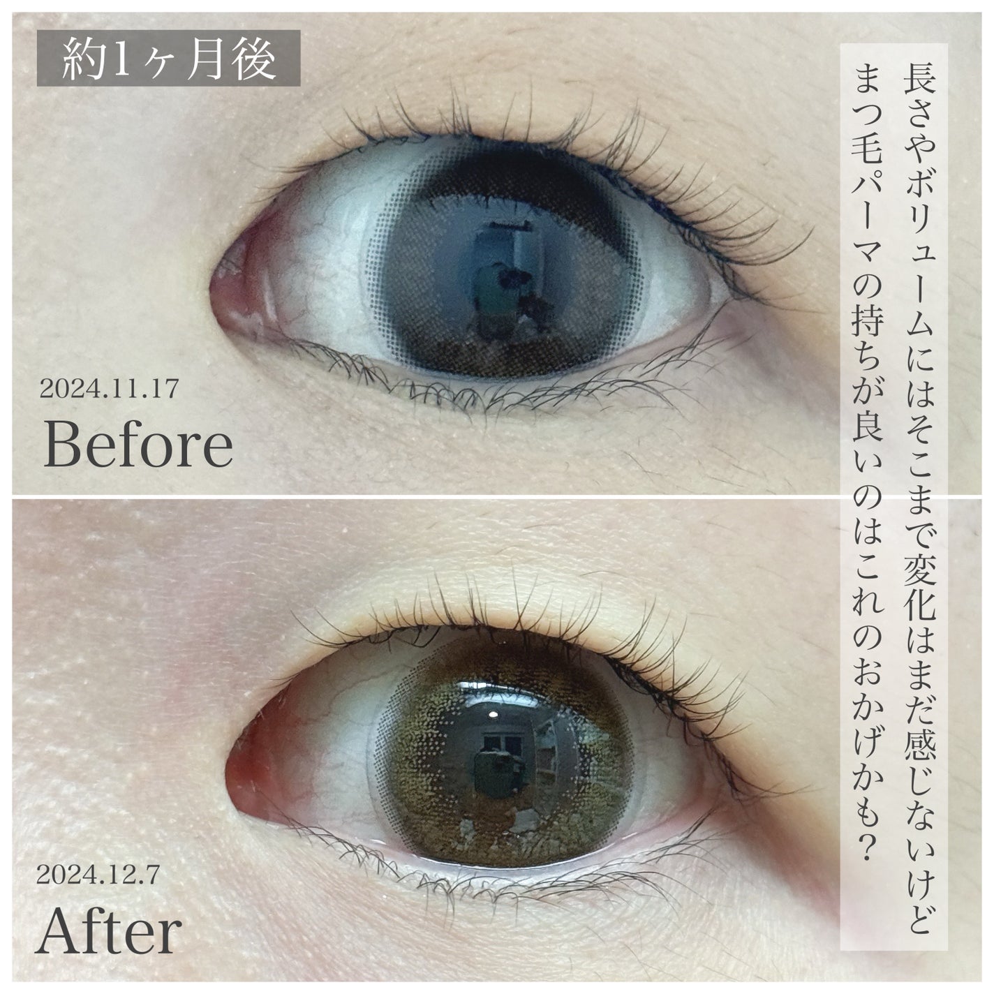 アイラッシュセラム まつげ美容液/ABEAGEN/まつげ美容液を使ったクチコミ(5枚目)