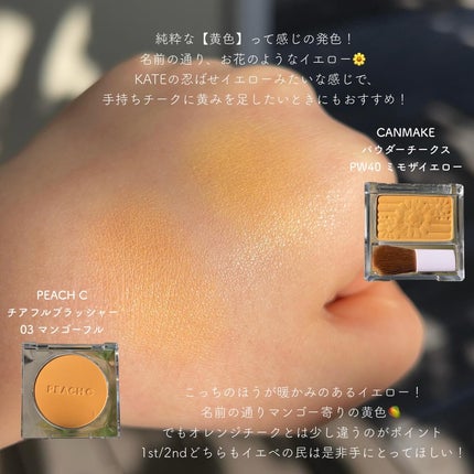 【旧品】パウダーチークス/キャンメイク/パウダーチークを使ったクチコミ(2枚目)