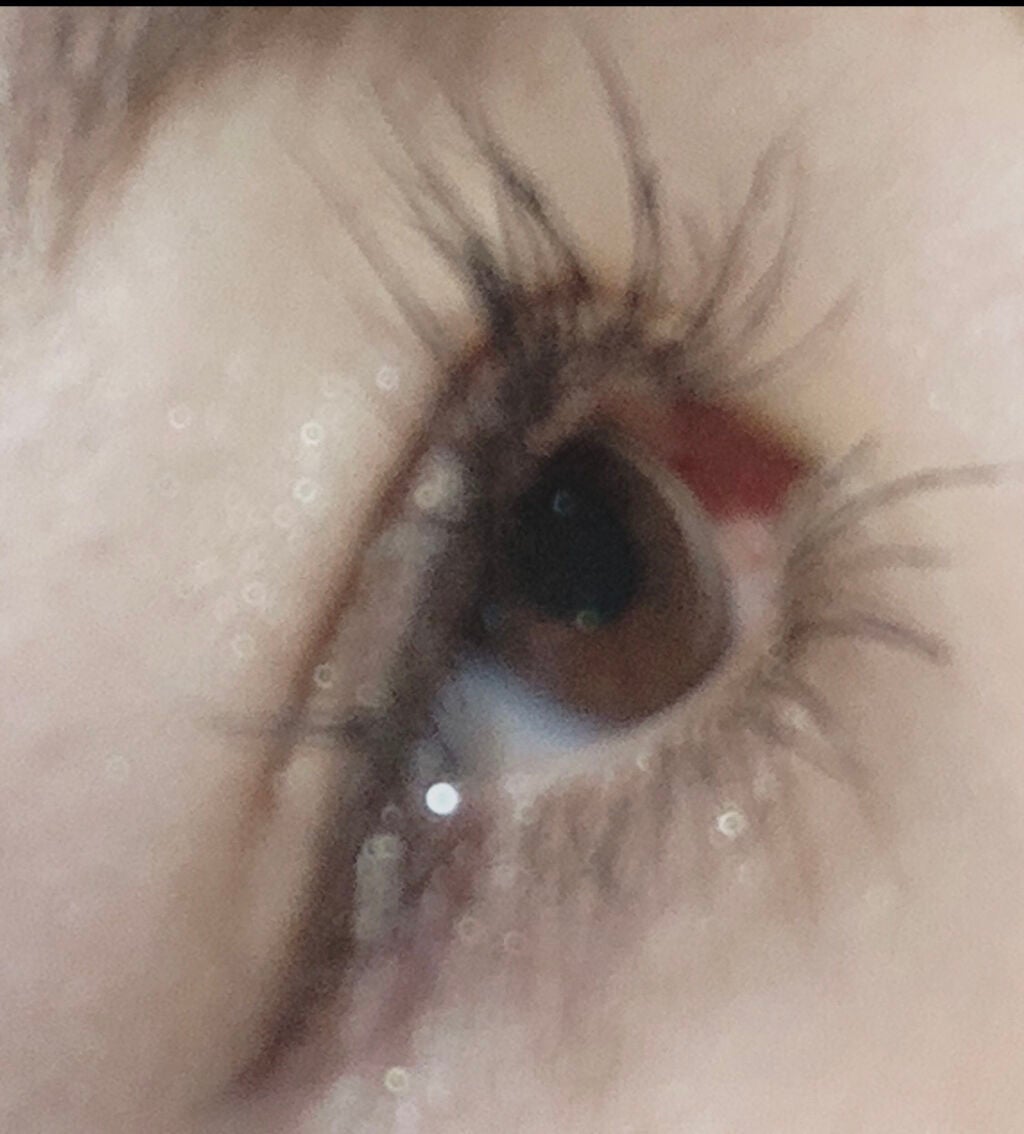 耐久カールマスカラ/CEZANNE/マスカラを使ったクチコミ(3枚目)