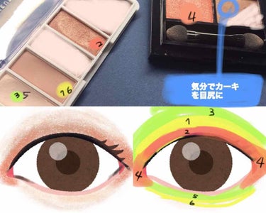 AC カラーアイパレット/AC MAKEUP/アイシャドウパレットを使ったクチコミ（3枚目）