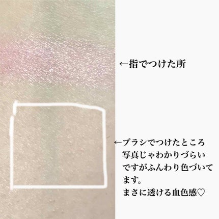 フォギーオンチークス N/Visée/パウダーチークを使ったクチコミ(3枚目)