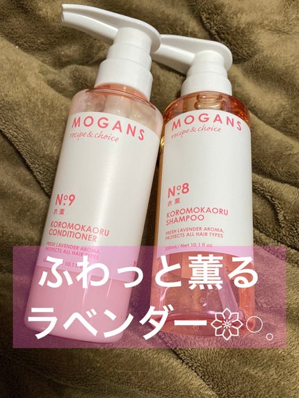 ノンシリコン アミノ酸 シャンプー/コンディショナー 衣薫(ころもかおる)/MOGANS/市販シャンプーを使ったクチコミ(2枚目)