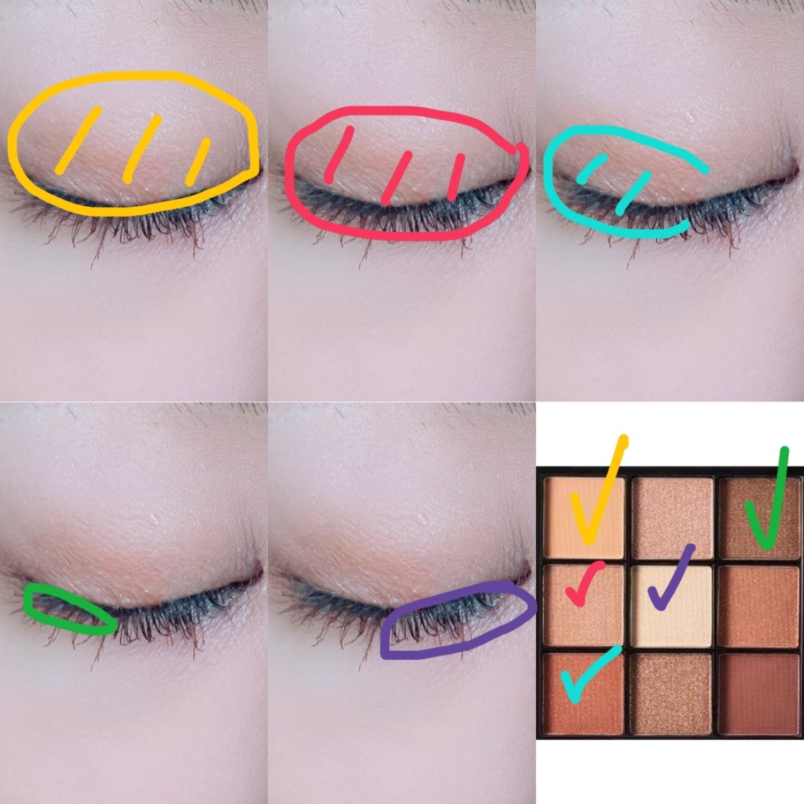 UR GLAM BLOOMING EYE COLOR PALETTE/U R GLAM/アイシャドウパレットを使ったクチコミ(2枚目)
