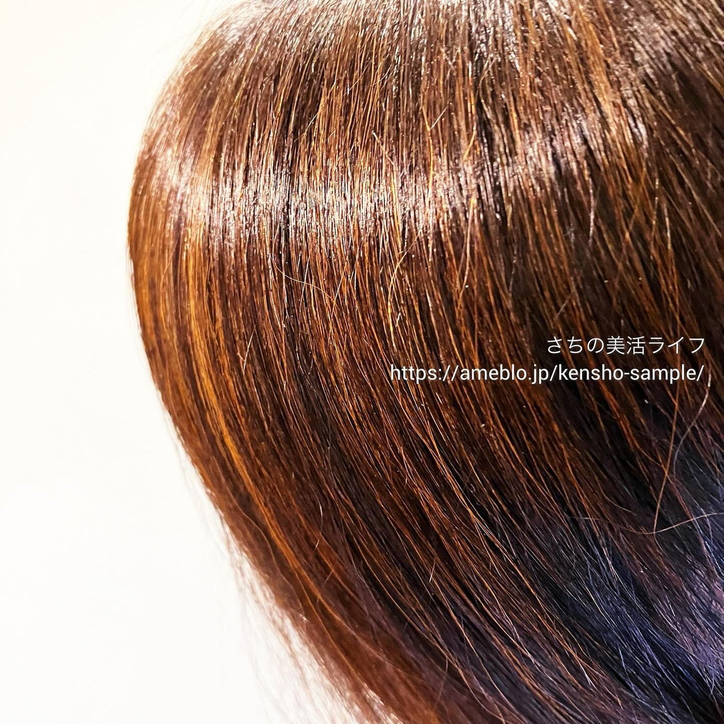 ツヤモイストドライヤー/FESTINO/ドライヤーを使ったクチコミ(8枚目)