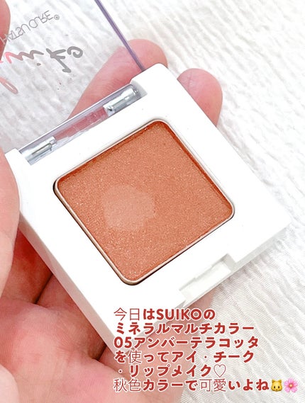 シングルカラーアイシャドウ/CEZANNE/単色アイシャドウを使ったクチコミ(5枚目)