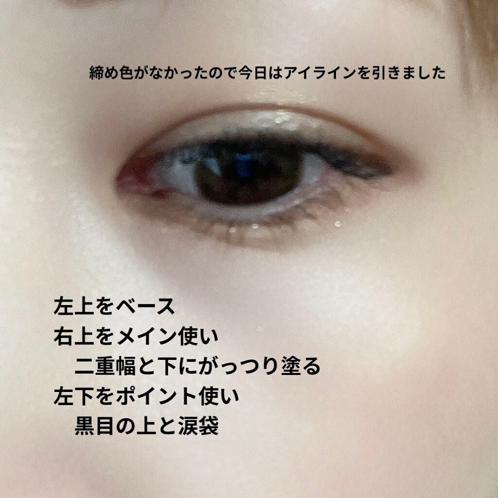 THE アイパレR/b idol/アイシャドウパレットを使ったクチコミ(5枚目)