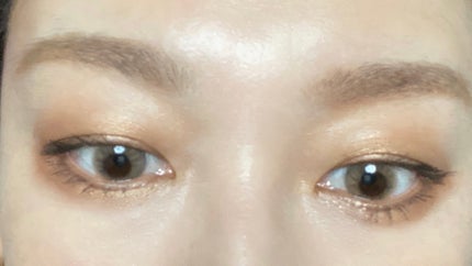 スキンモデリングアイズ/LUNASOL/アイシャドウパレットを使ったクチコミ(2枚目)