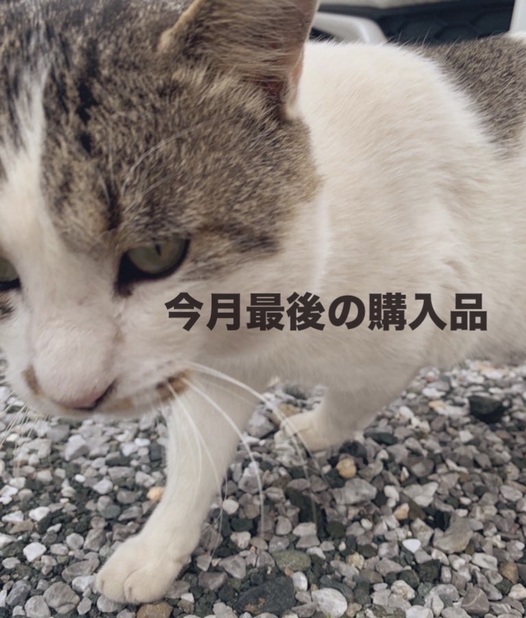 カラー コレクティング プライマー LV（ラベンダー）/DAISY DOLL by MARY QUANT/化粧下地を使ったクチコミ（1枚目）