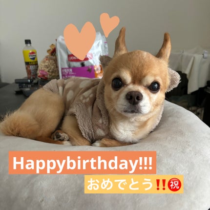 ディオール ヴェルニ/Dior/マニキュアを使ったクチコミ(5枚目)