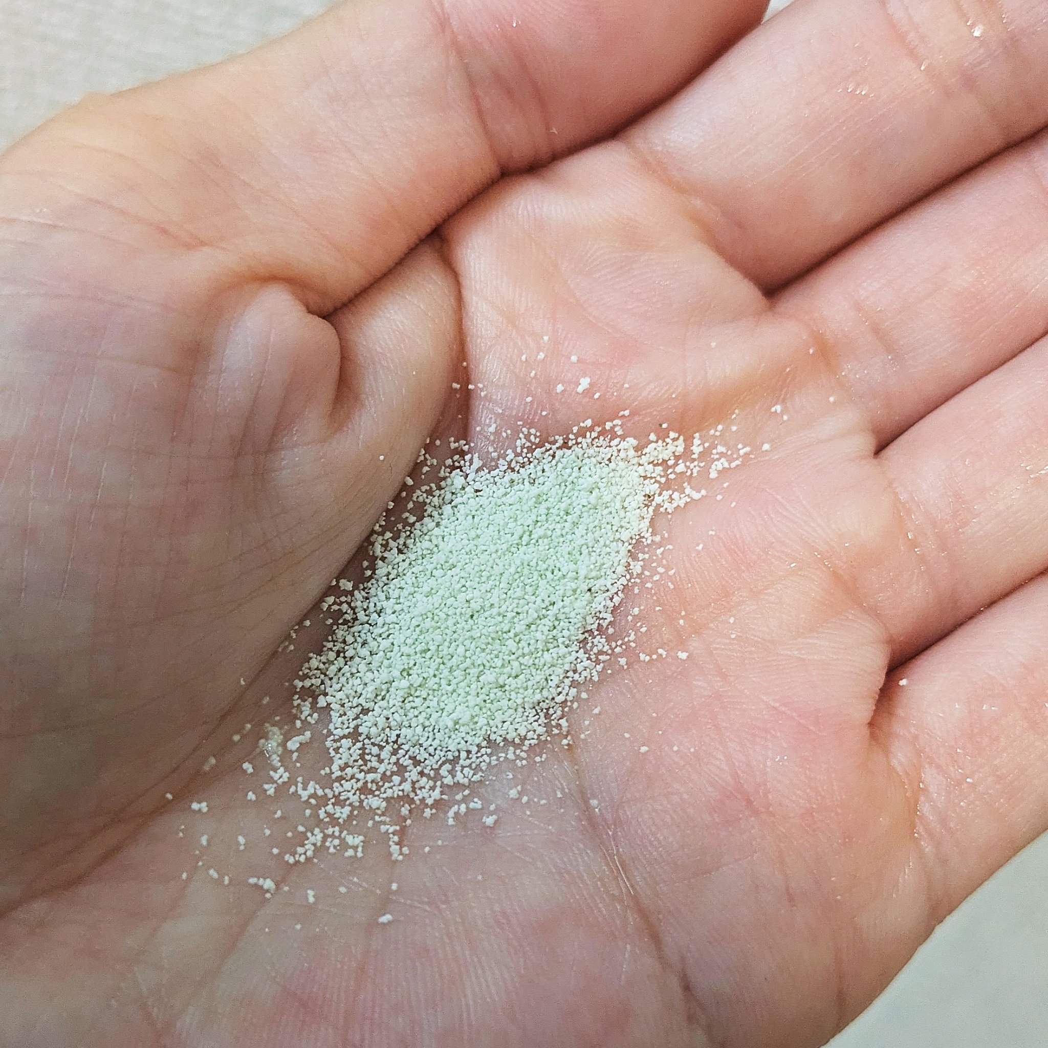 シカカーミングパウダーウォッシュ/TOCOBO/洗顔パウダーを使ったクチコミ（3枚目）