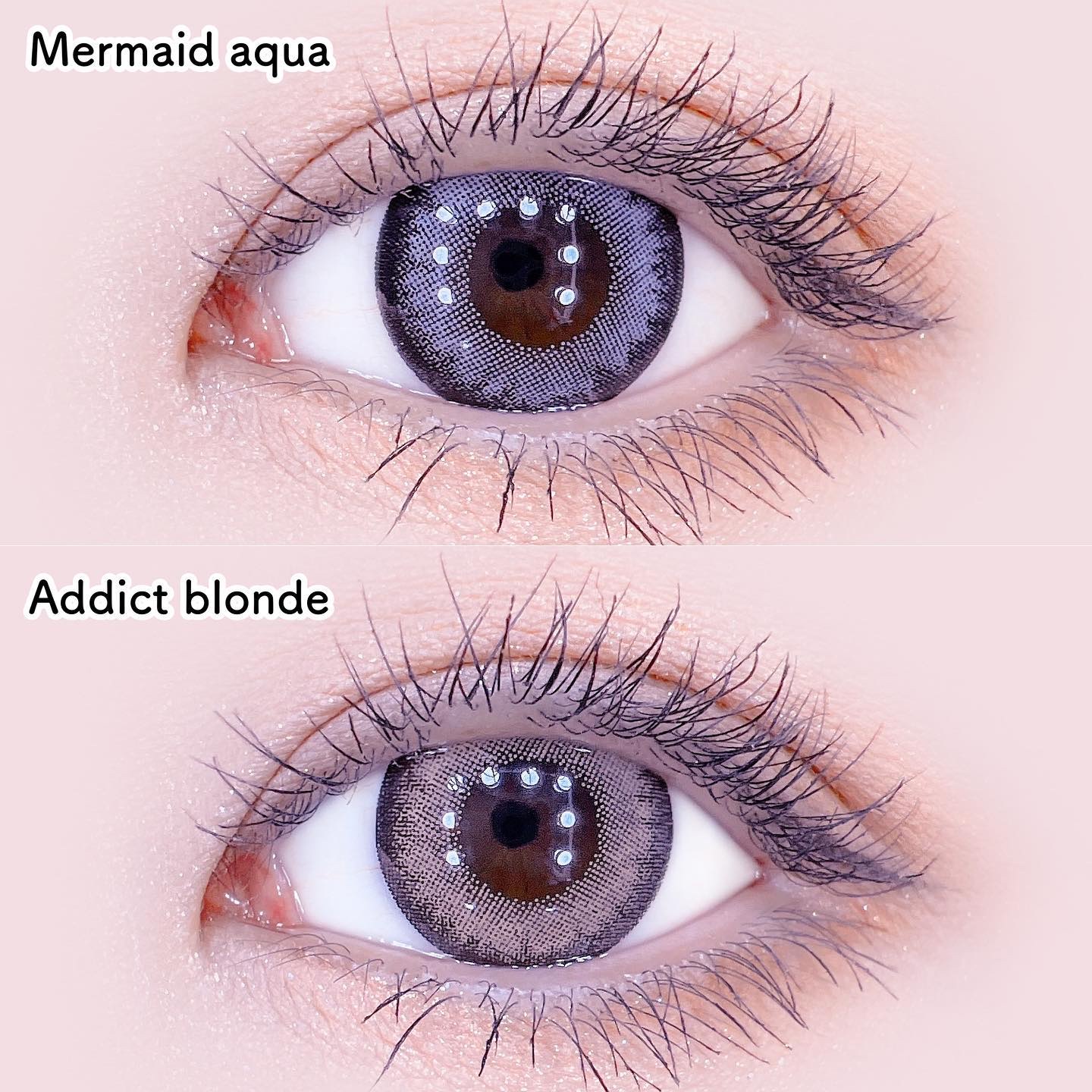 loveil 1day  Addict blonde/loveil/ワンデー（１DAY）カラコンを使ったクチコミ（2枚目）