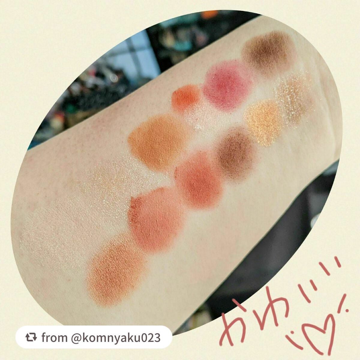 エクスプローラ12色 動物アイシャドウパレット/PERFECT DIARY/アイシャドウパレットを使ったクチコミ(4枚目)