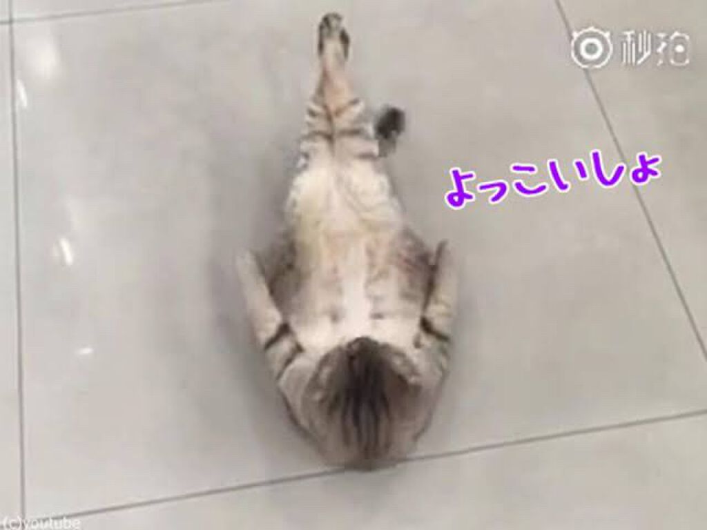 èµæ¡ çŸçð ðžð on LIPS ãçæ§ããã°ãã¯ïŒé«æ ¡ã®æã¯ãŸãªæ¿ã ã£ãã®ã«æ°ã¥ãã°å¥³ã®åããã..ãïŒ1æç®ïŒ