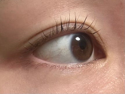 低刺激セルフまつげパーマ9種セット/EYE2IN/その他キットセットを使ったクチコミ(6枚目)