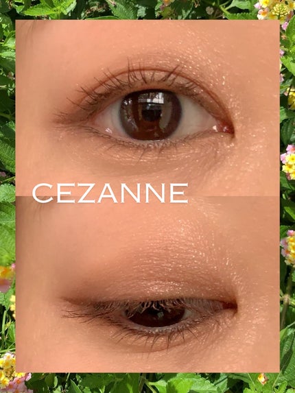 ペールトーンアイシャドウ/CEZANNE/アイシャドウを使ったクチコミ(6枚目)