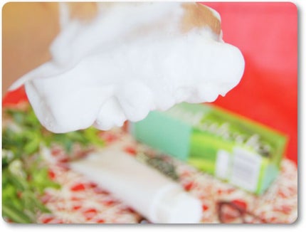 ブースターフォーム/スキンケールド/洗顔フォームを使ったクチコミ(3枚目)