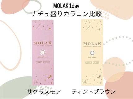 MOLAK 1day/MOLAK/ワンデー(1DAY)カラコンを使ったクチコミ(1枚目)
