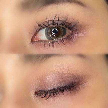 トーン ペタル アイシャドウ 23:ディープブルー/to/one/アイシャドウパレットの画像