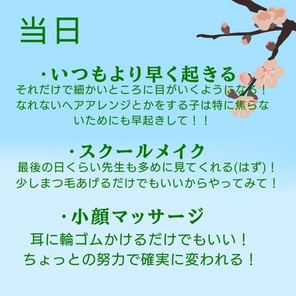 ナチュラル チークN/CEZANNE/パウダーチークを使ったクチコミ(4枚目)