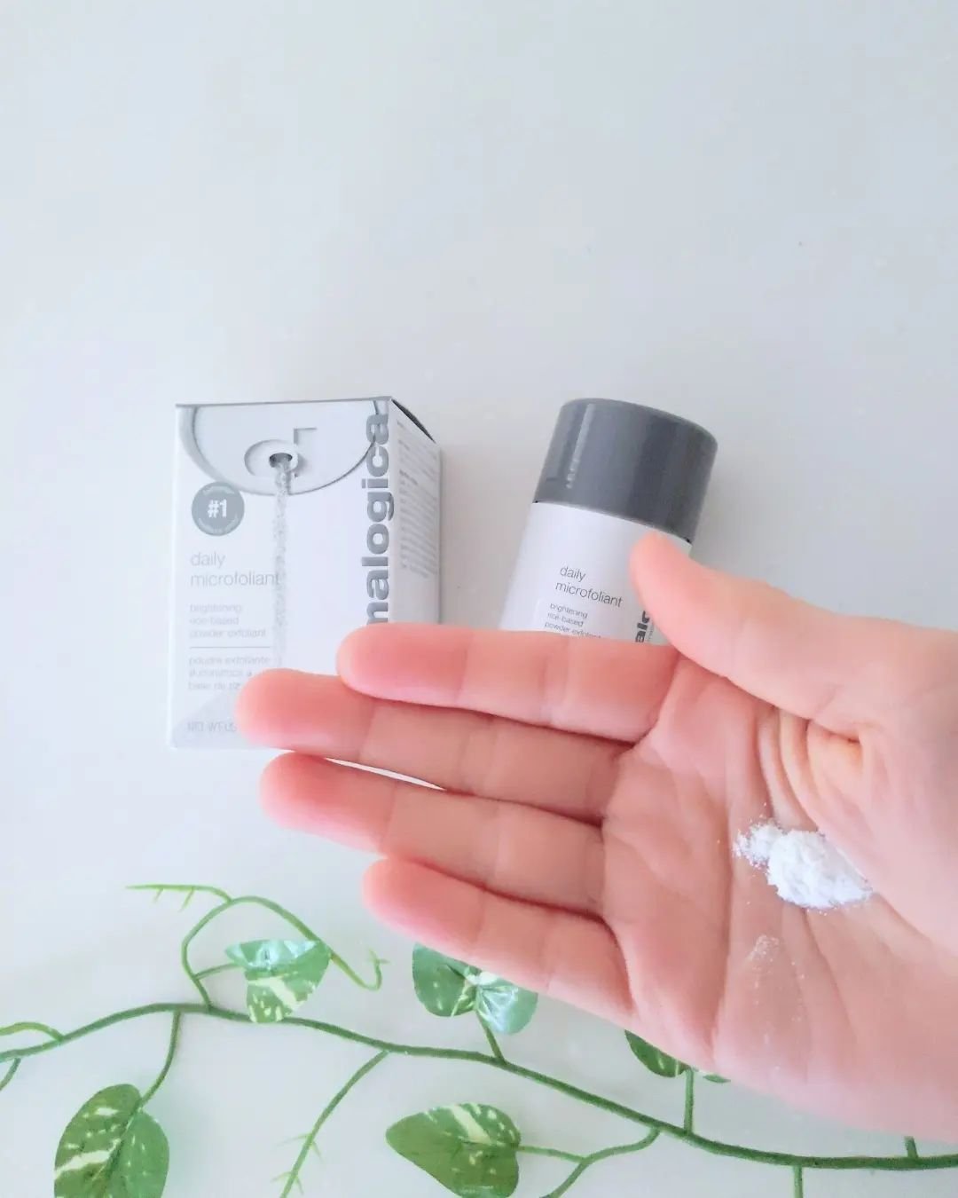 デイリーマイクロフォリエント/ダーマロジカ/洗顔パウダーを使ったクチコミ（3枚目）