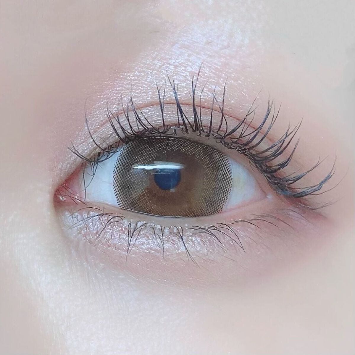 ReVIA 1day [COLOR] Sheer Sable（シアーセーブル）