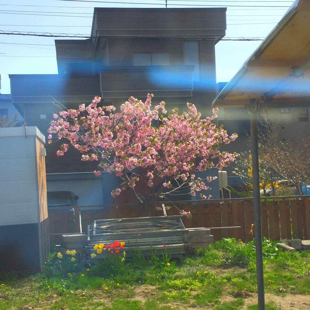 プロボカリプス リップカラー/リンメル ロンドン/リップグロスを使ったクチコミ（2枚目）