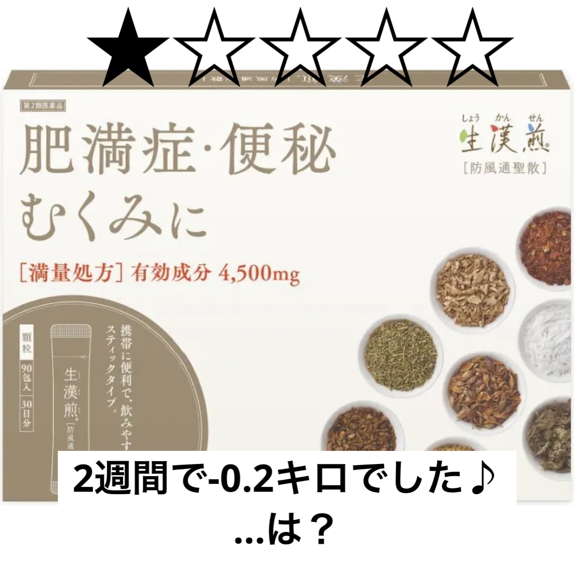 生漢煎 防風通聖散（医薬品）/ジェイフロンティア/その他を使ったクチコミ（1枚目）