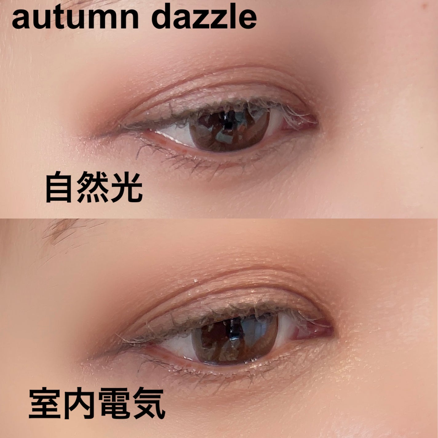 アイグロウジェム スキンシャドウ/DECORTÉ/ジェル・クリームアイシャドウを使ったクチコミ(6枚目)