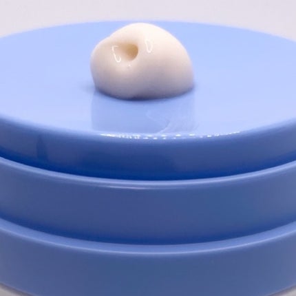 セラバリア モイスチャーアクティブ クリームインセラム/HOLIKA HOLIKA/フェイスクリームを使ったクチコミ(4枚目)