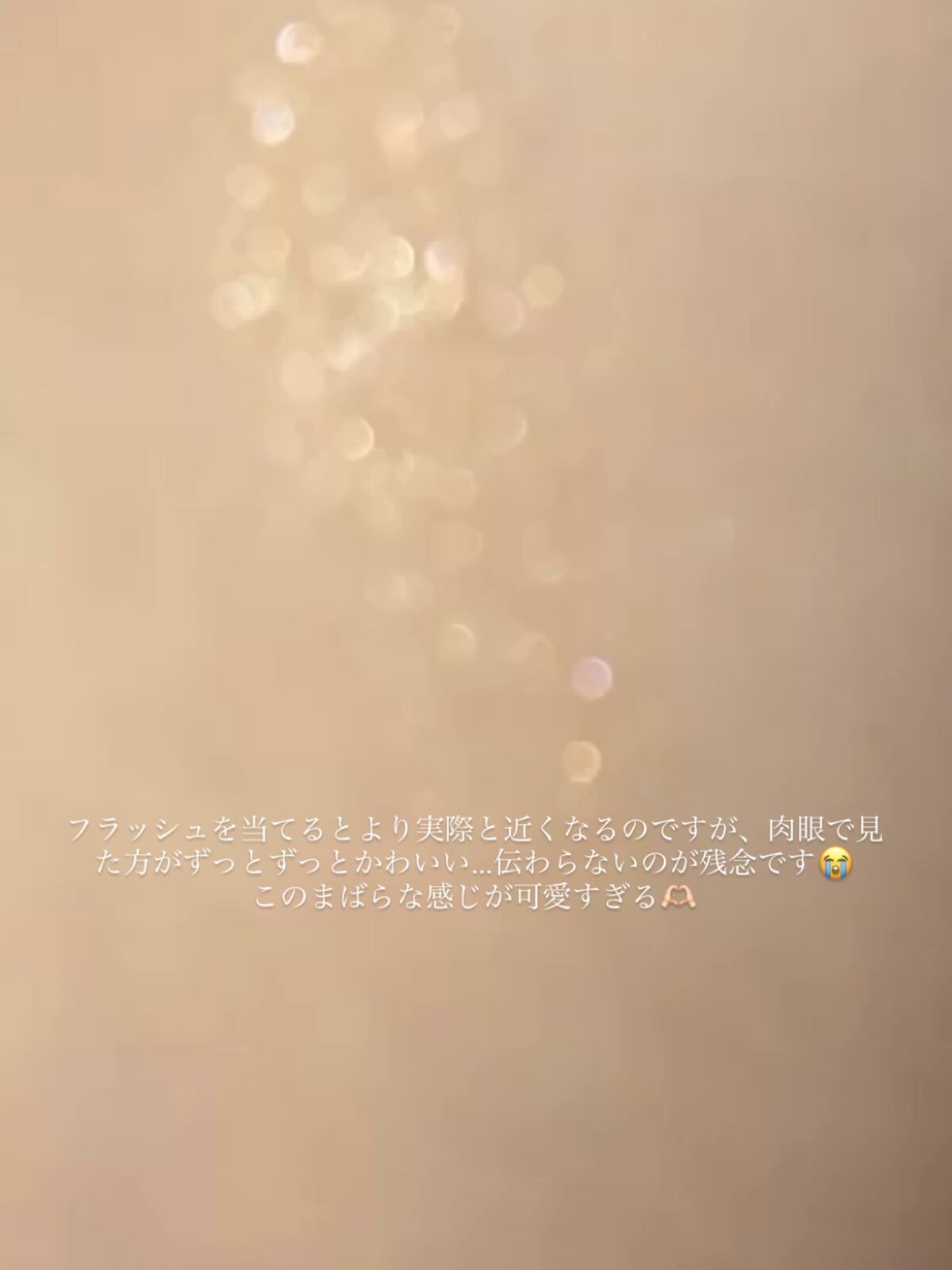 スパークリング アイカラー/PAUL & JOE BEAUTE/単色アイシャドウを使ったクチコミ（2枚目）