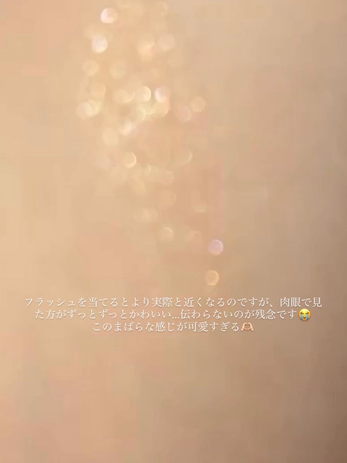 スパークリング アイカラー/PAUL & JOE BEAUTE/単色アイシャドウを使ったクチコミ(2枚目)