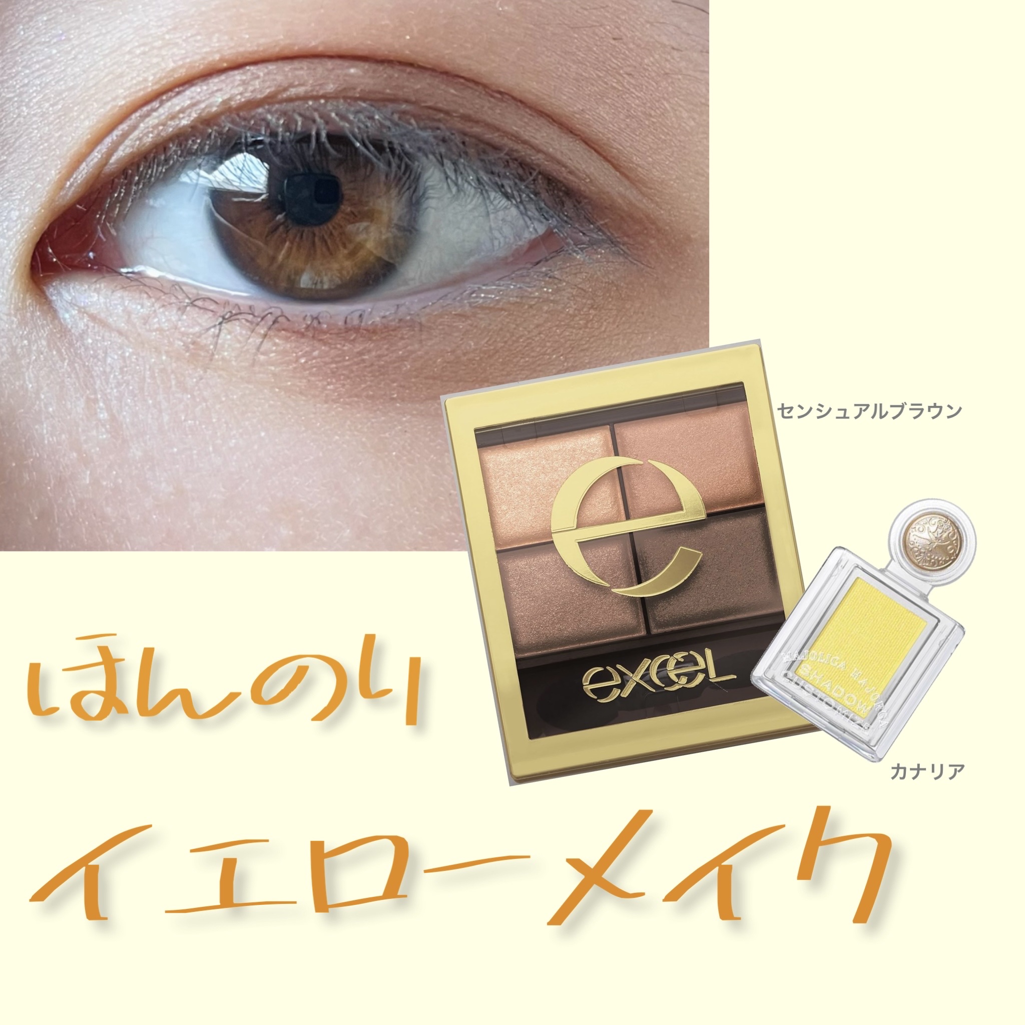 シャドーカスタマイズ/MAJOLICA MAJORCA/単色アイシャドウを使ったクチコミ（1枚目）