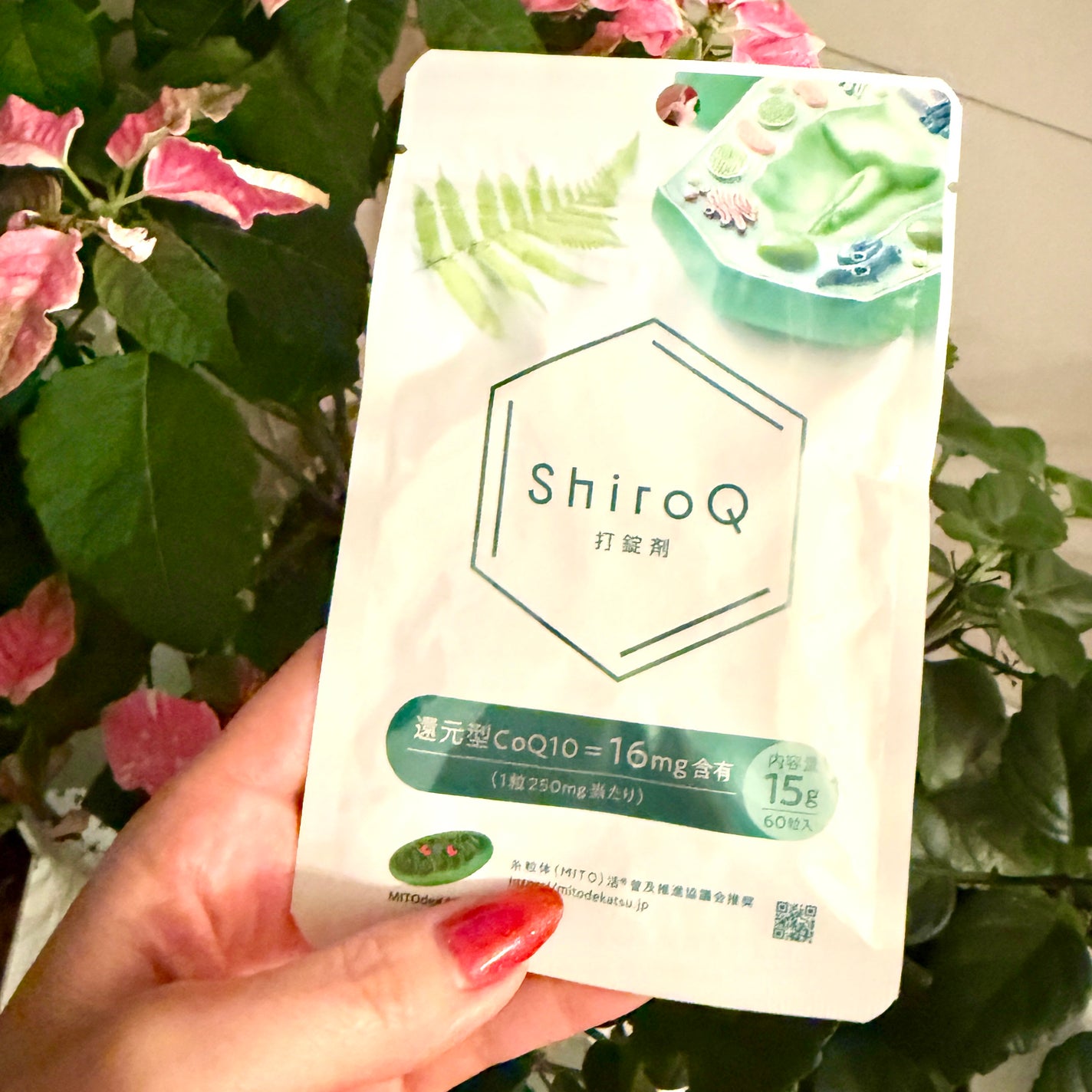 Shiho Arai on LIPS 「【世界初の打錠剤タブレット製剤】次世代高吸収型・還元型コエン..」(1枚目)