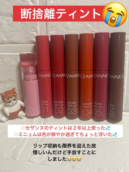 ミニュム バブリップ ジューシーティント/minum/リップティントを使ったクチコミ(1枚目)