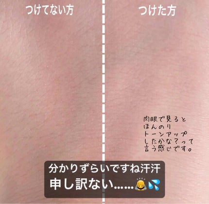 ノーセバム ミネラルパウダー/innisfree/ルースパウダーを使ったクチコミ(3枚目)