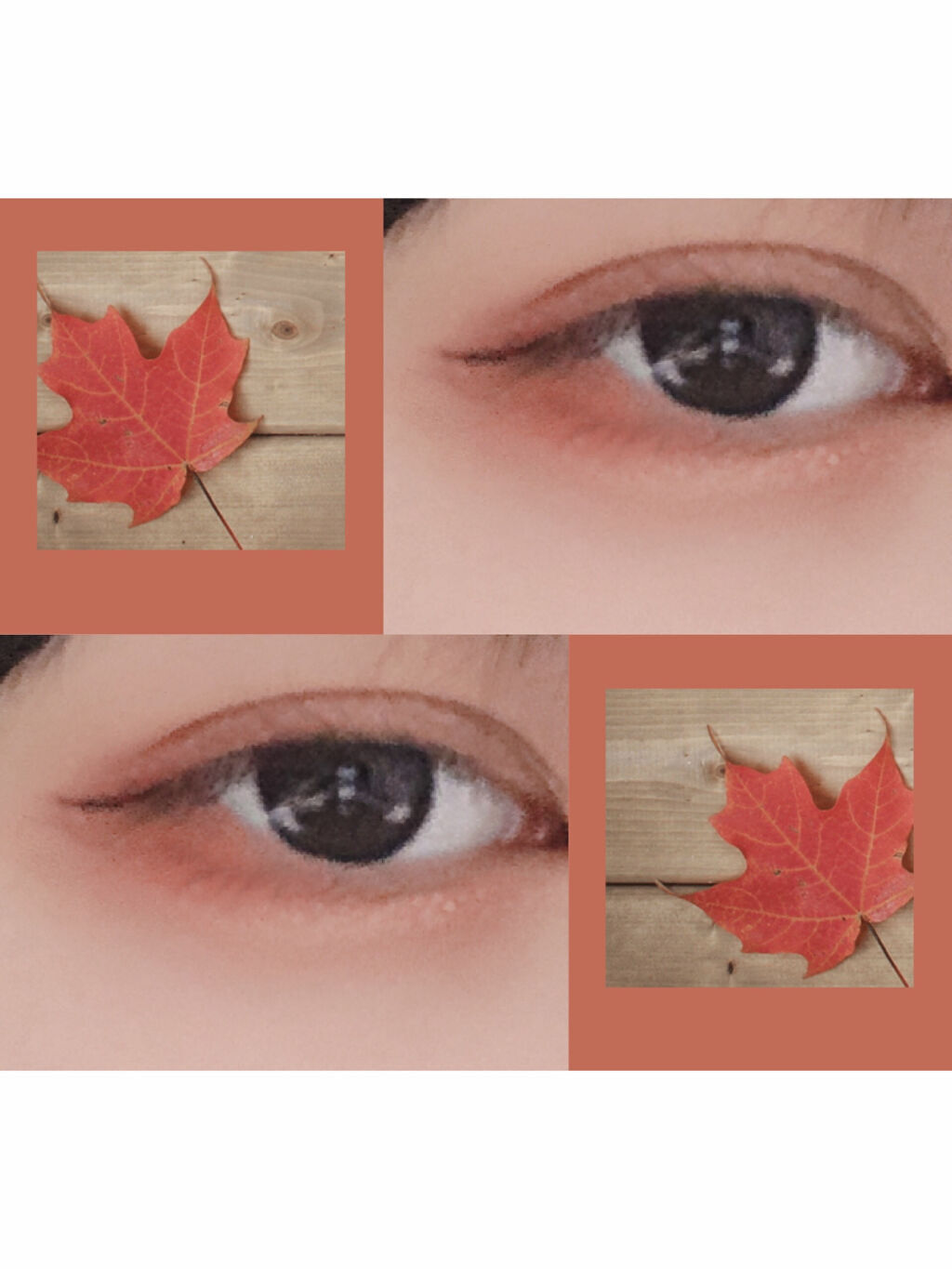 ベターザンアイズ ミルクシリーズ/rom&nd/アイシャドウパレットを使ったクチコミ（2枚目）