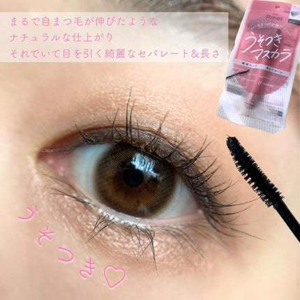 ピメル うそつきマスカラ/pdc/マスカラを使ったクチコミ(3枚目)